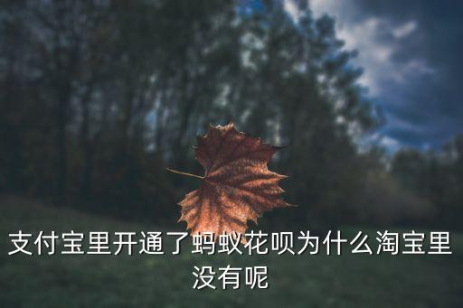 天貓為什么沒有花唄，現(xiàn)在怎么在手機(jī)天貓里看不到花唄消費(fèi)信息了