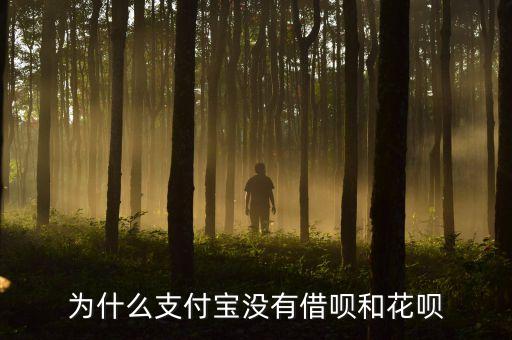 為什么沒我螞蟻借唄，為什么支付寶沒有借唄和花唄