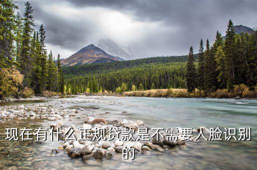 現(xiàn)在有什么正規(guī)貸款是不需要人臉識別的