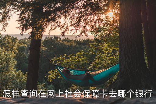 什么銀行都可以查社保，怎樣查詢在網(wǎng)上社會保障卡去哪個銀行
