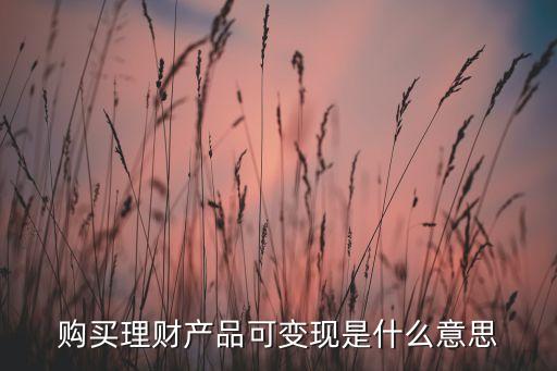 變現(xiàn)理財(cái)是什么，理財(cái)可變現(xiàn)什么意思