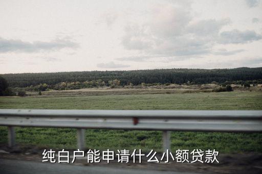 白戶能辦什么貸款，白戶可以做哪些貸款