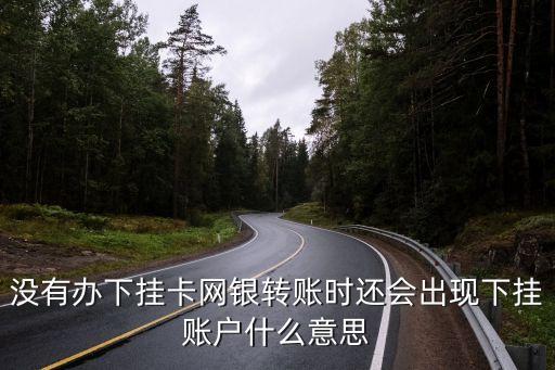 沒有辦下掛卡網(wǎng)銀轉(zhuǎn)賬時還會出現(xiàn)下掛賬戶什么意思