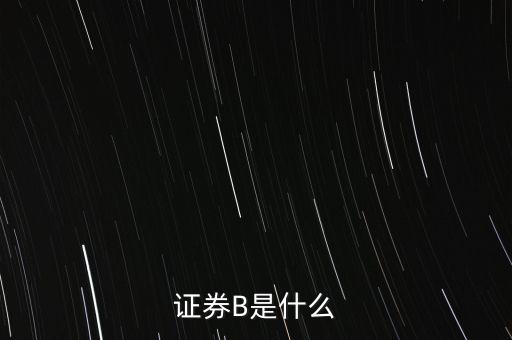 證券B是什么