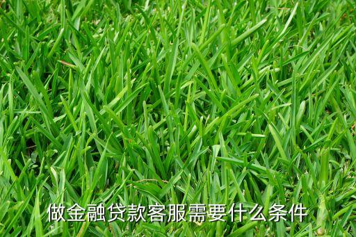 做金融貸款客服需要什么條件