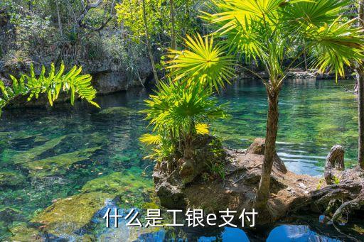 工行app開通e支付密碼是什么意思，工行工銀e支付密碼是什么
