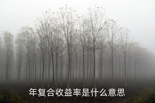 什么叫年復利，什么是復利怎么算舉個例子比如100元錢的