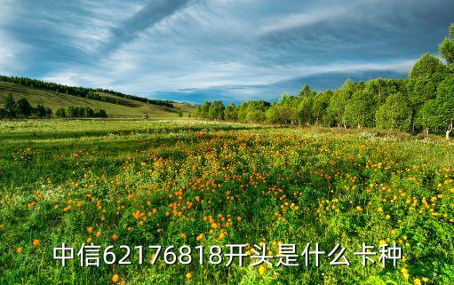 中信62176818開頭是什么卡種