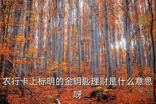 金融金鑰匙是什么意思，農(nóng)行卡上標(biāo)明的金鑰匙理財(cái)是什么意思呀