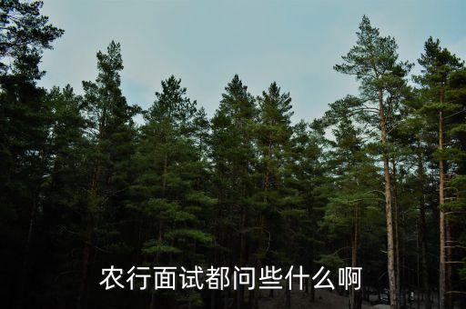 農(nóng)業(yè)銀行面簽都問(wèn)什么資料，農(nóng)行面試都問(wèn)些什么啊