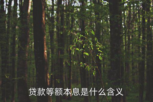 貸款等額本息是什么含義