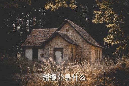 甜橙分是什么