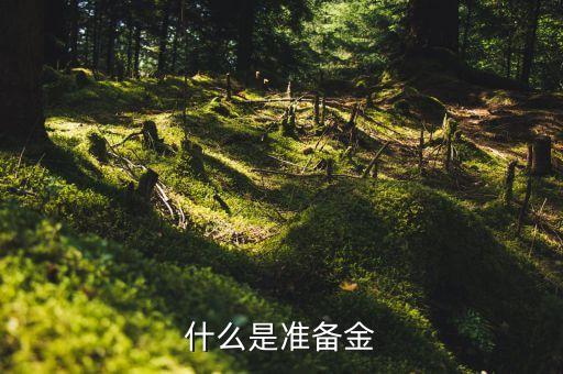 什么是法定存款準(zhǔn)備金，什么是準(zhǔn)備金