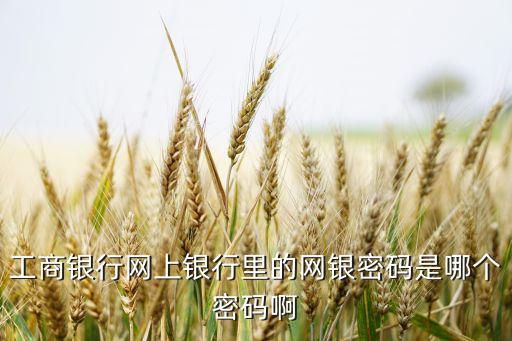 工商銀行網(wǎng)上銀行里的網(wǎng)銀密碼是哪個密碼啊