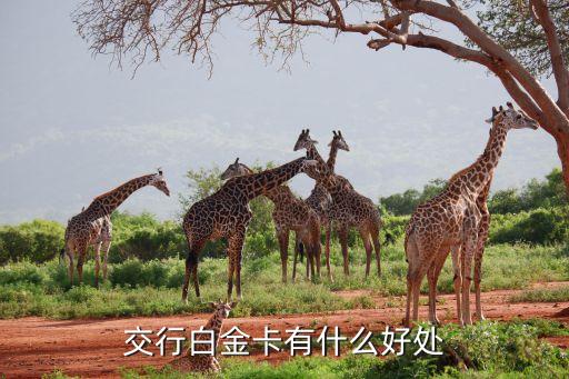 交行白金卡是什么樣的，交通銀行私銀白金卡是什么