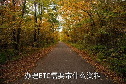 辦理ETC需要帶什么資料