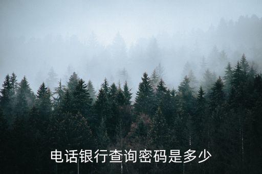 電話銀行查詢密碼是多少