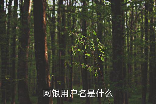 網(wǎng)銀的用戶名是什么，網(wǎng)銀登陸用戶名是什么