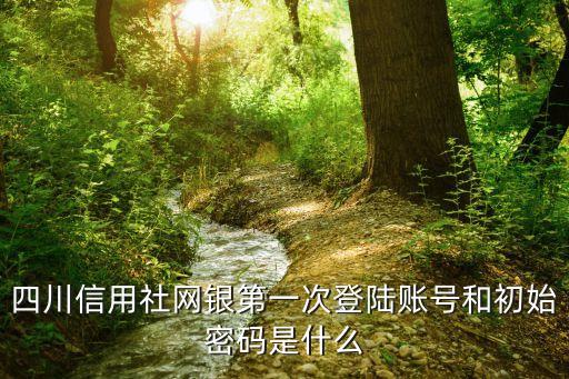 四川農(nóng)信官網(wǎng)怎么登錄密碼是什么樣的，農(nóng)村信用社網(wǎng)上銀行怎么登錄