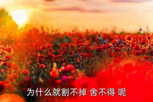 為什么舍不得割肉，為什么人們熊市不割肉