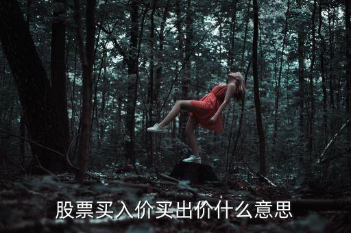 股票買入價買出價什么意思