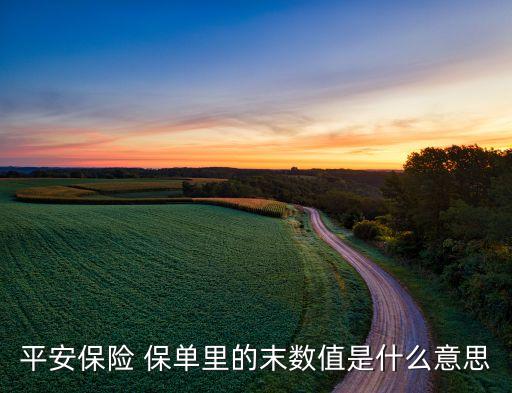 保單凈值是什么意思，保單現(xiàn)金價值的通俗解釋是什么
