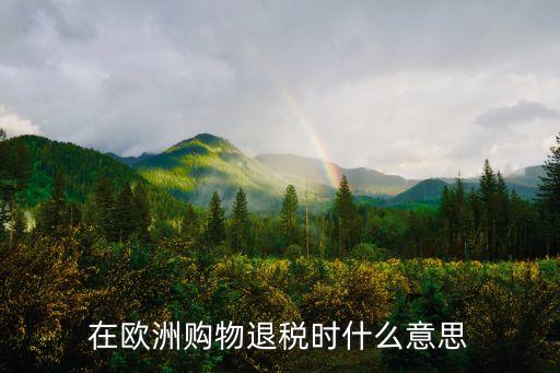 在歐洲購(gòu)物退稅時(shí)什么意思