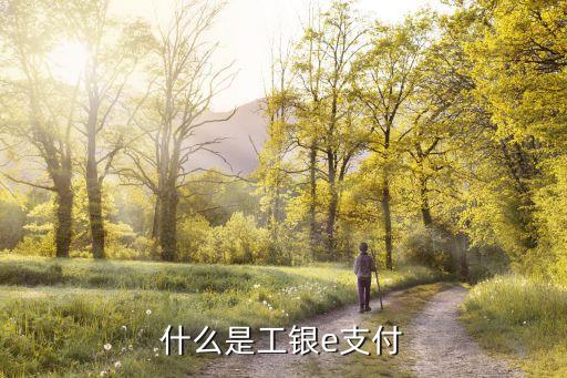 怎樣開通工行e支付密碼是什么意思，工行工銀e支付密碼是什么