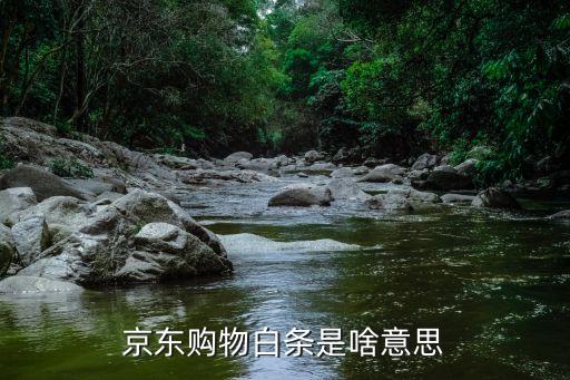 京東購物白條是啥意思