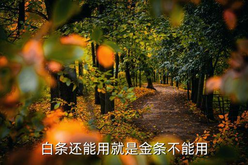 白條還能用就是金條不能用