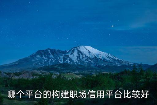 哪個(gè)平臺的構(gòu)建職場信用平臺比較好