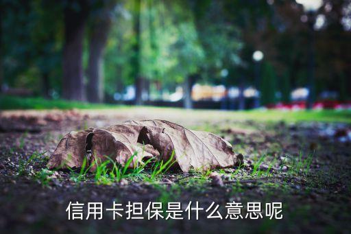 信用卡擔(dān)保什么意思，訂酒店需要信用卡擔(dān)保是什么意思