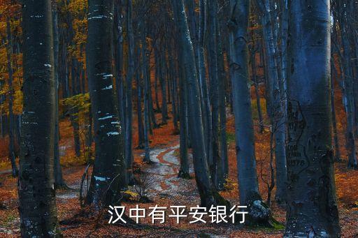 漢中都有什么銀行，漢中有哪些銀行