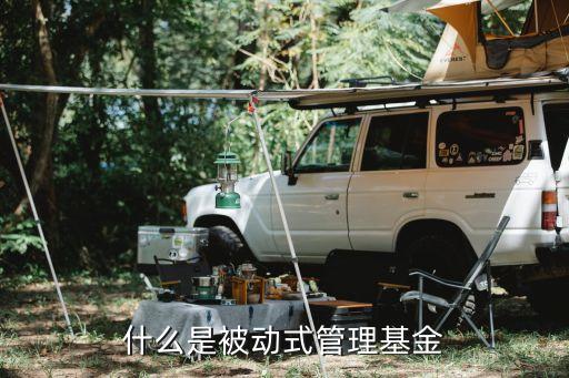 什么是管理型基金，什么叫顧問管理類型私募基金
