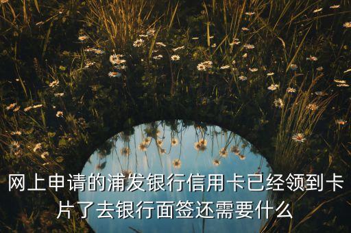 網(wǎng)上申請的浦發(fā)銀行信用卡已經(jīng)領(lǐng)到卡片了去銀行面簽還需要什么