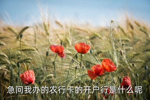 急問我辦的農(nóng)行卡的開戶行是什么呢