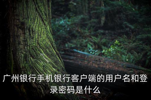 廣州銀行手機(jī)銀行客戶端的用戶名和登錄密碼是什么