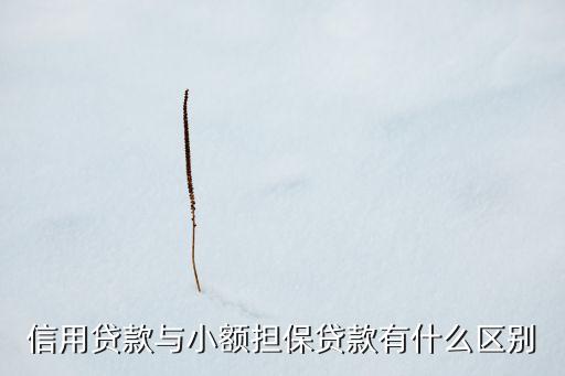 小額擔(dān)保貸款是什么，什么是小額擔(dān)保貸款