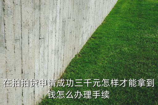 在拍拍貸申請成功三千元怎樣才能拿到錢怎么辦理手續(xù)