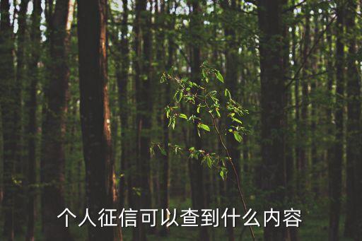 征信能看出什么問題嗎，立木征信能查信用問題嗎
