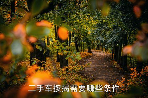 二手車貸款有什么要求，二手車按揭需要哪些條件