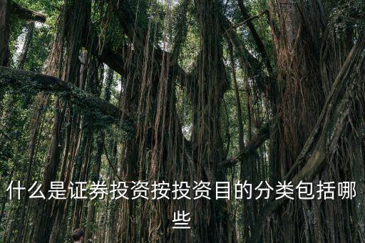證券投資是指什么，證劵投資是什么