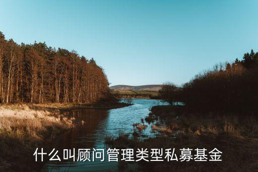什么叫顧問(wèn)管理類型私募基金