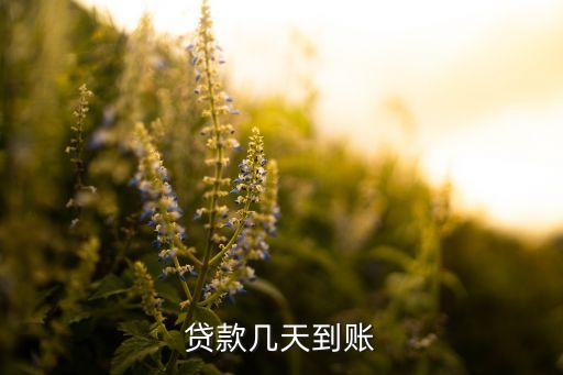 貸款幾天到賬