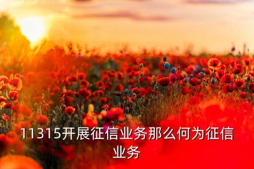 11315開(kāi)展征信業(yè)務(wù)那么何為征信業(yè)務(wù)