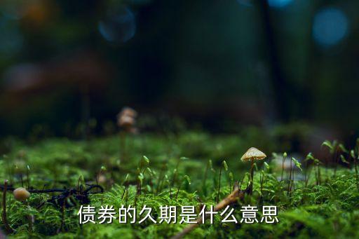 債券的久期是什么意思，債券的久期是什么意思