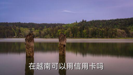 在越南可以用信用卡嗎