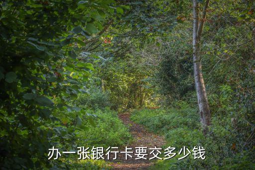 辦一張銀行卡要什么手續(xù)費(fèi)嗎，辦理銀行卡需要手續(xù)費(fèi)嗎