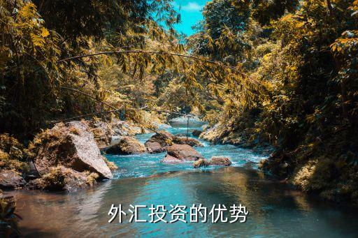 外匯投資的優(yōu)勢