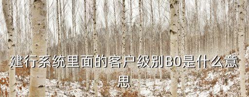 建行系統(tǒng)里面的客戶級(jí)別B0是什么意思